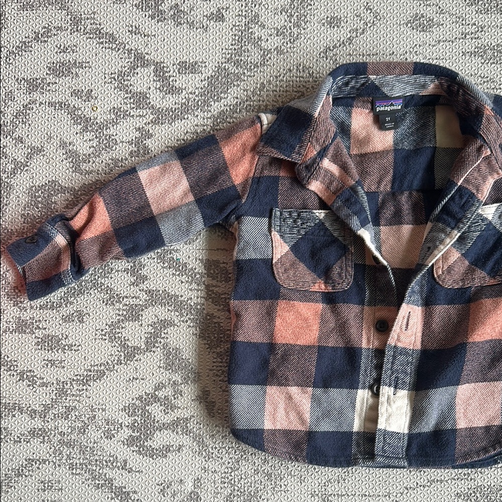 Patagonia Blue and Pink Button Down Shirt